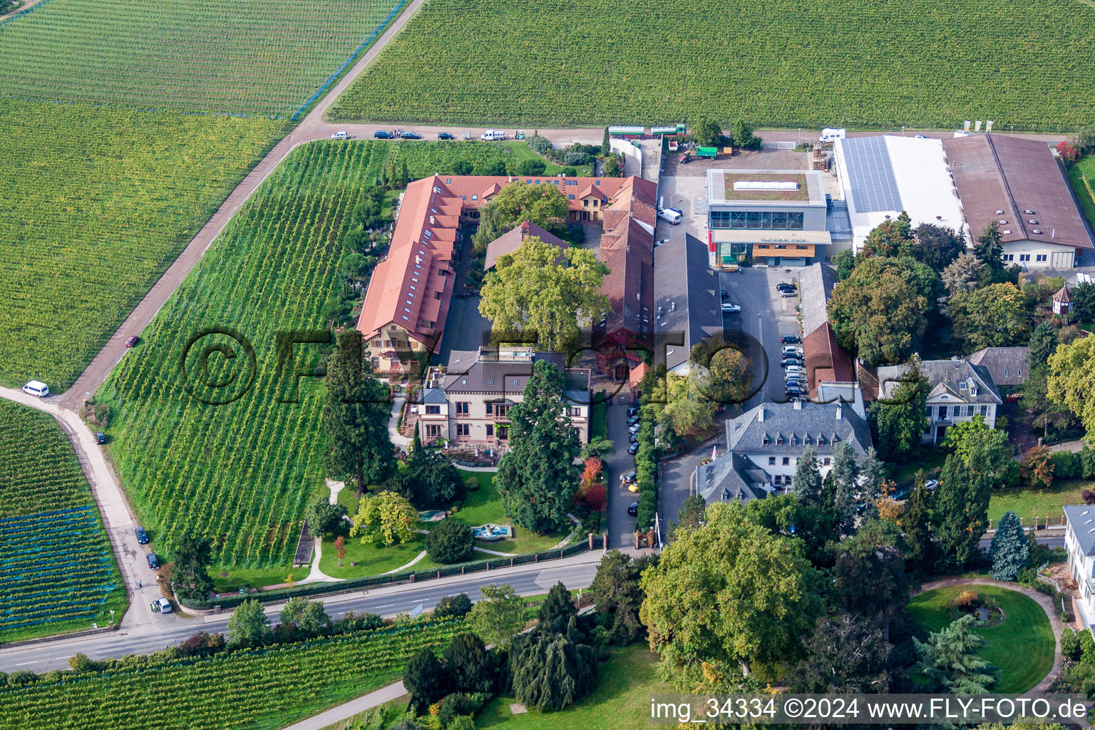 Vue oblique de Bâtiments et parcs du domaine viticole Dr. Loup de Bürklin à le quartier Wachenheim in Wachenheim an der Weinstraße dans le département Rhénanie-Palatinat, Allemagne