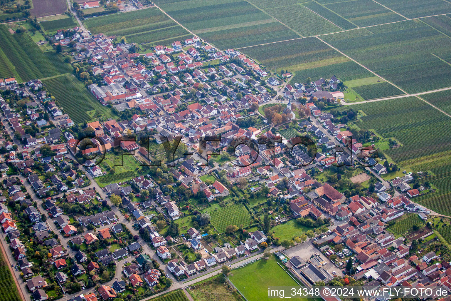 Friedelsheim dans le département Rhénanie-Palatinat, Allemagne vue du ciel