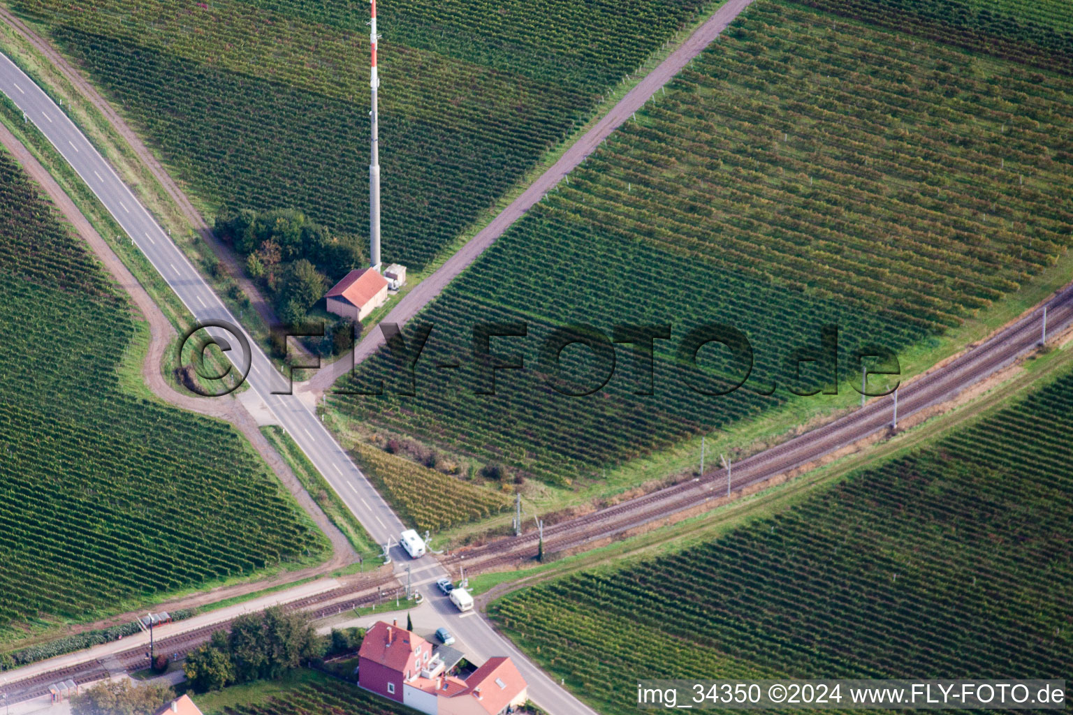 Image drone de Friedelsheim dans le département Rhénanie-Palatinat, Allemagne