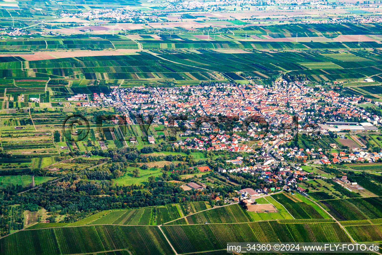 Vue oblique de Weisenheim am Sand dans le département Rhénanie-Palatinat, Allemagne