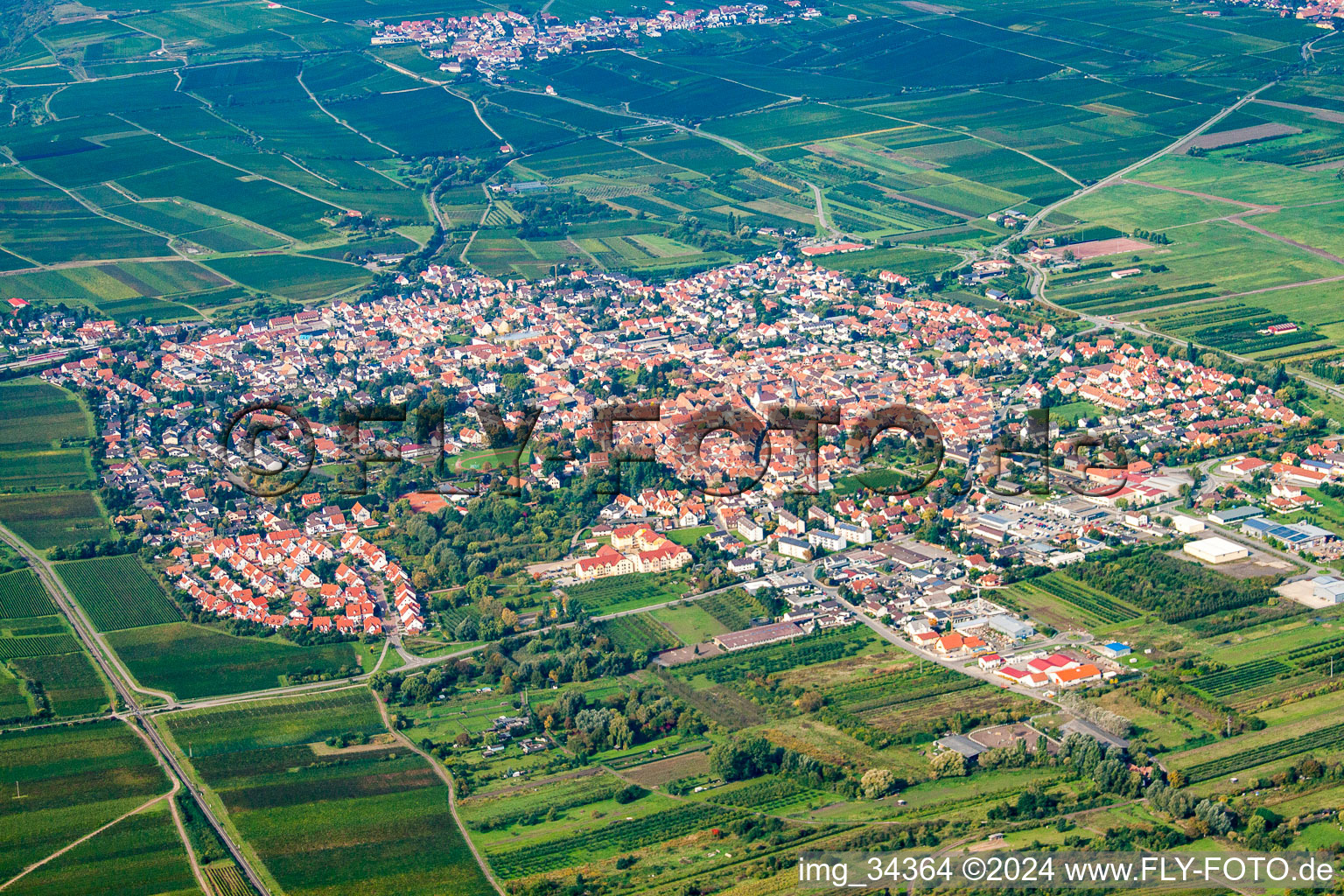 Vue aérienne de Freinsheim dans le département Rhénanie-Palatinat, Allemagne