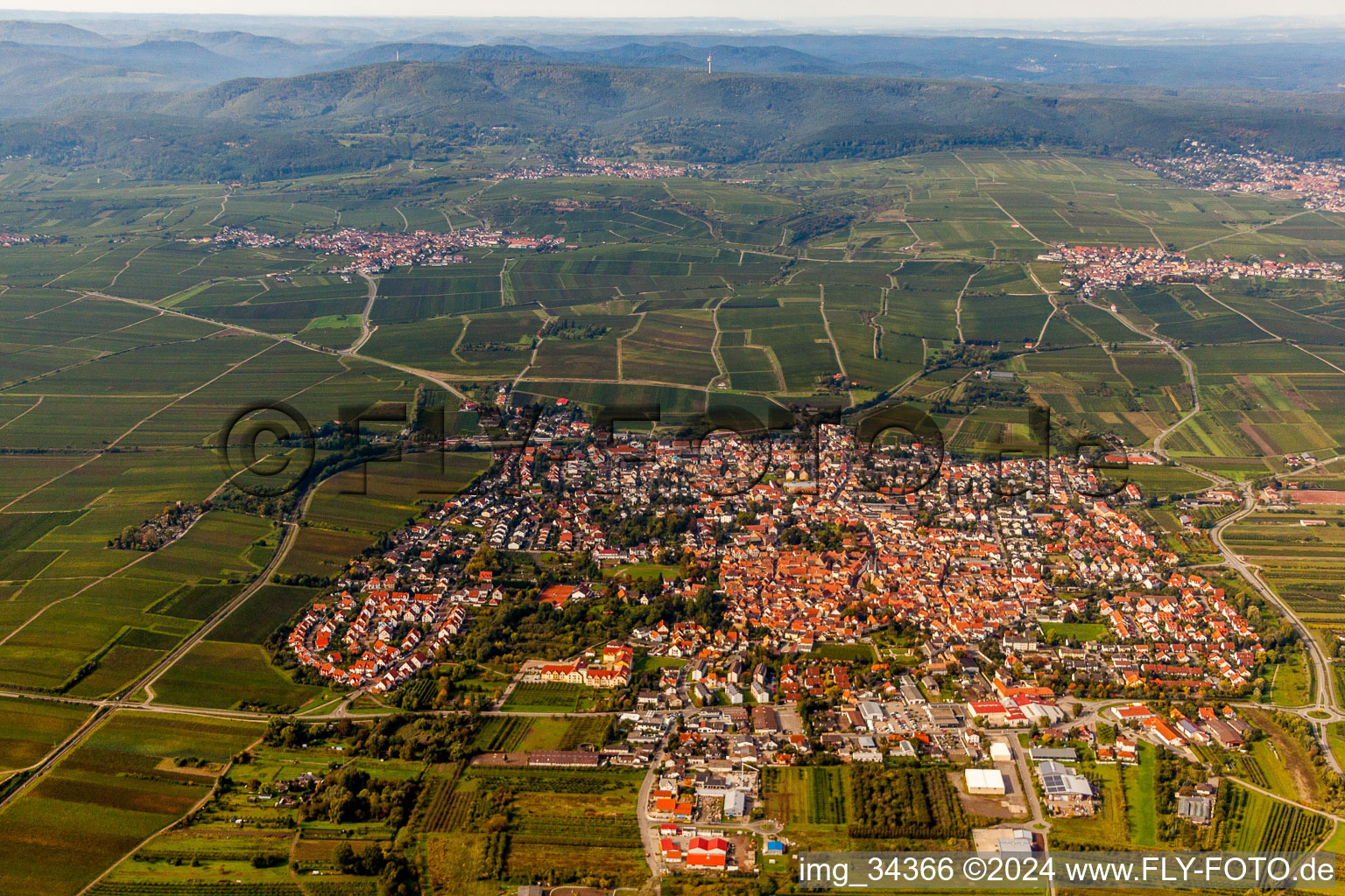 Vue aérienne de Champs agricoles et surfaces utilisables à Freinsheim dans le département Rhénanie-Palatinat, Allemagne