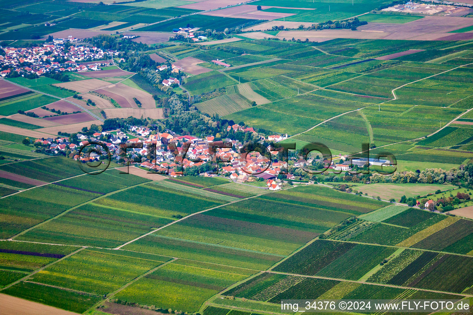 Vue aérienne de Saussenheim à Bissersheim dans le département Rhénanie-Palatinat, Allemagne