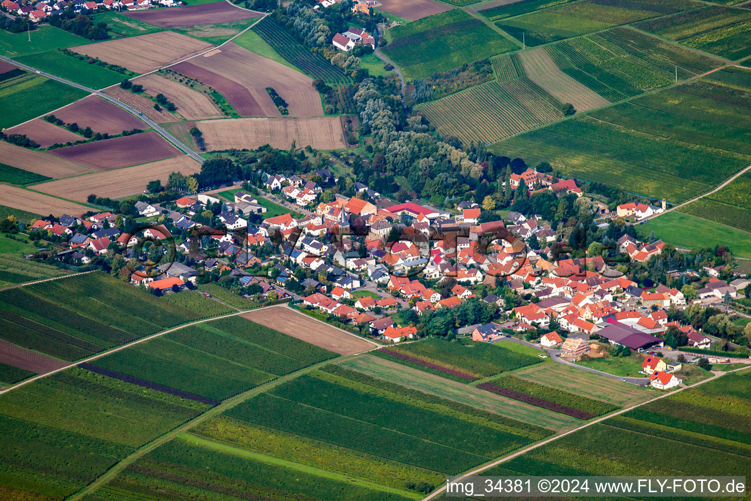 Photographie aérienne de Saussenheim à Bissersheim dans le département Rhénanie-Palatinat, Allemagne