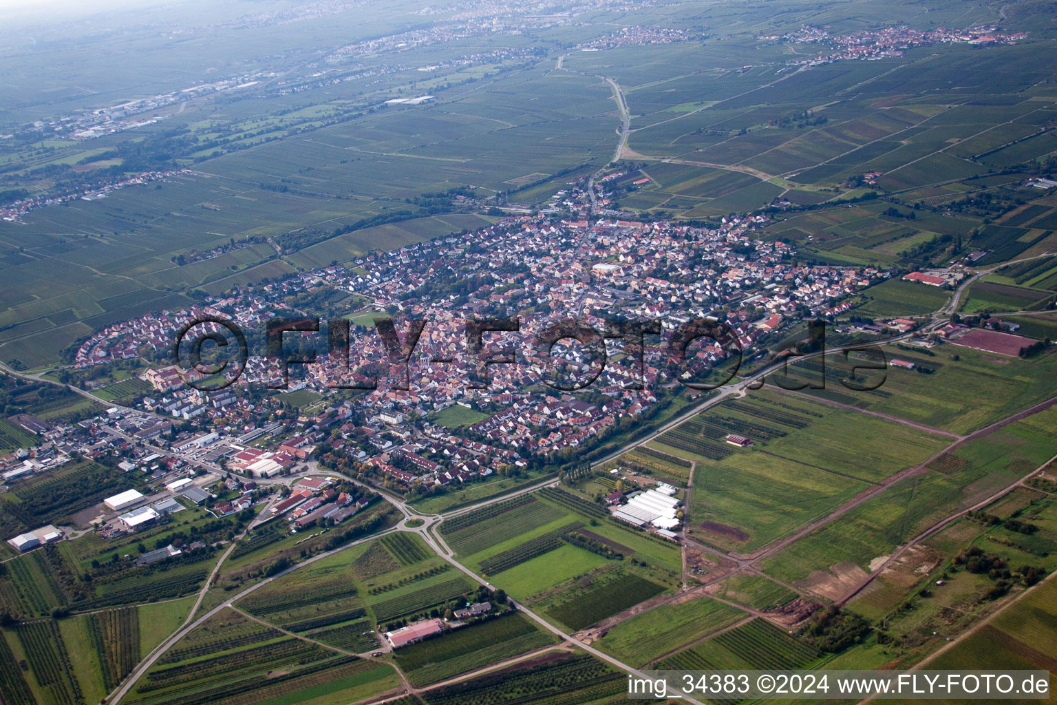 Freinsheim dans le département Rhénanie-Palatinat, Allemagne vue d'en haut