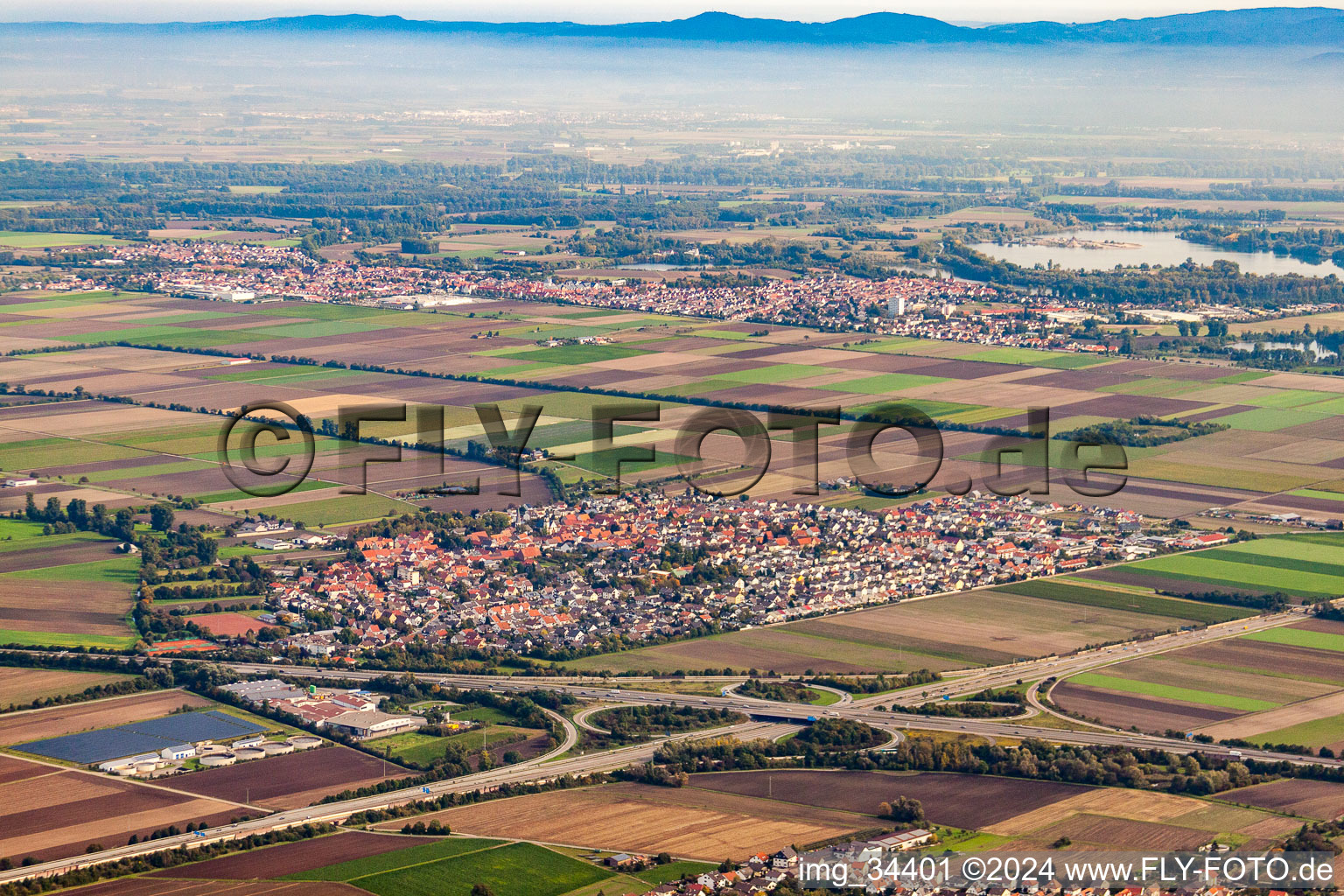 Vue aérienne de Vue des rues et des maisons des quartiers résidentiels à Beindersheim dans le département Rhénanie-Palatinat, Allemagne