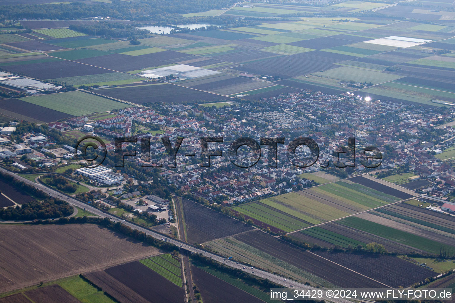 Vue oblique de Quartier Ruchheim in Ludwigshafen am Rhein dans le département Rhénanie-Palatinat, Allemagne