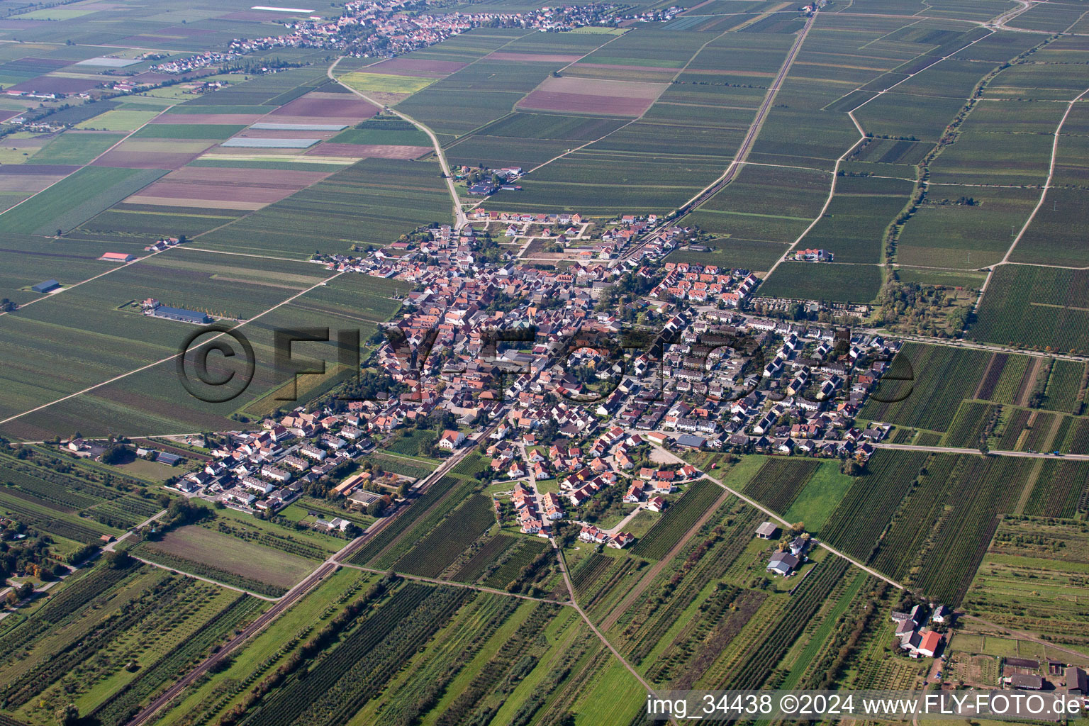 Vue aérienne de Champs agricoles et surfaces utilisables à Fußgönheim dans le département Rhénanie-Palatinat, Allemagne