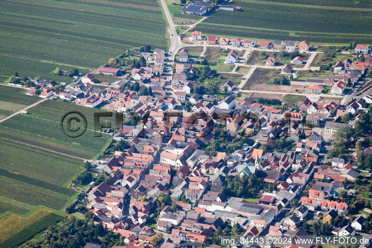 Fußgönheim dans le département Rhénanie-Palatinat, Allemagne vu d'un drone