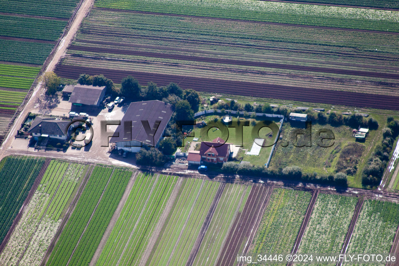 Photographie aérienne de Fußgönheim dans le département Rhénanie-Palatinat, Allemagne