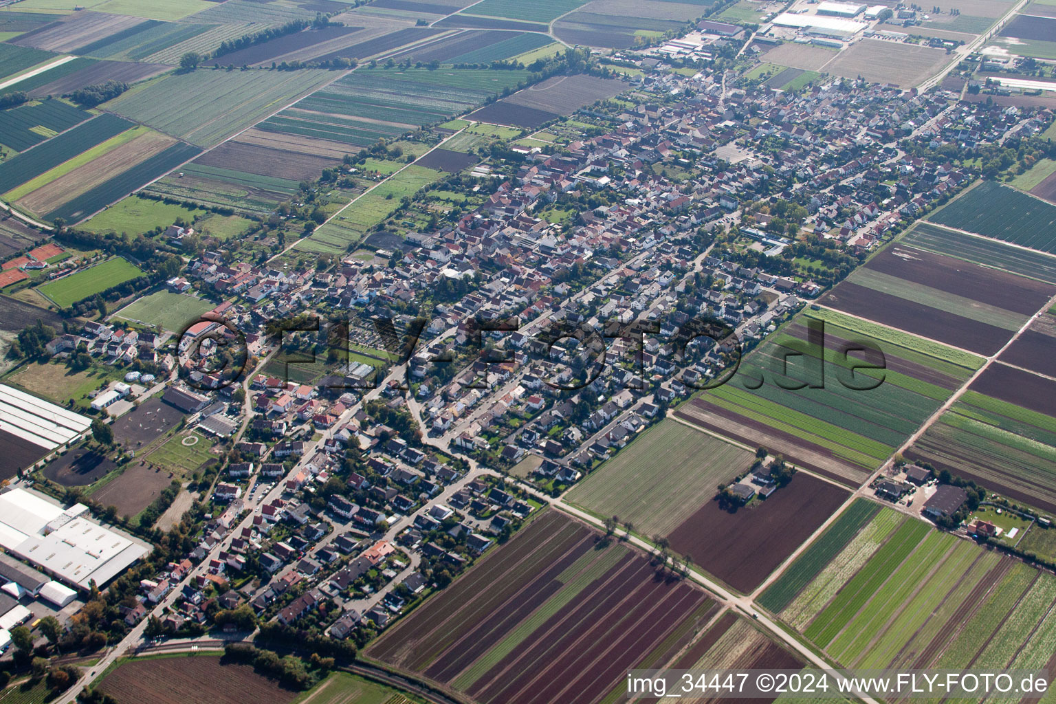 Vue oblique de Fußgönheim dans le département Rhénanie-Palatinat, Allemagne