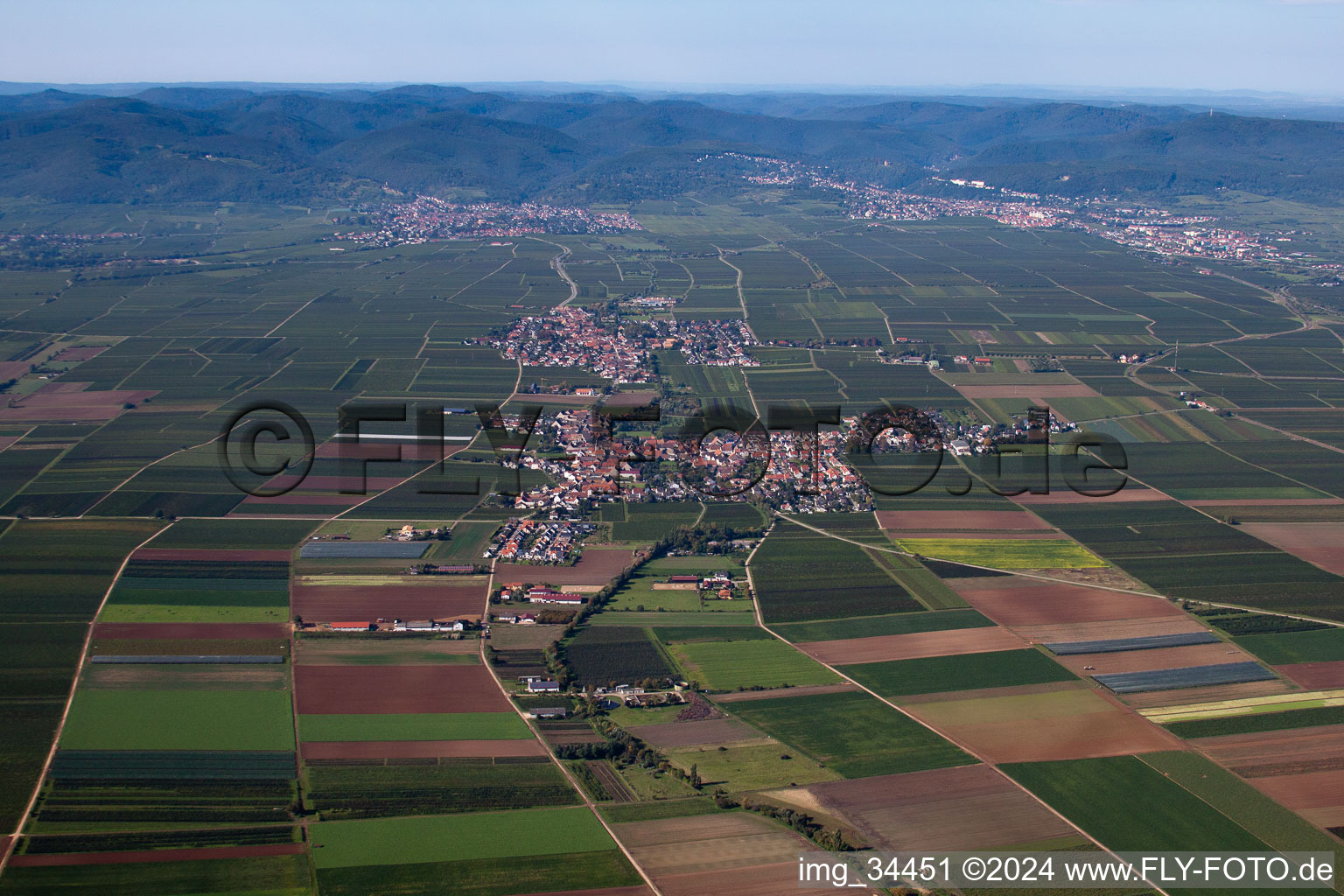 Vue aérienne de Champs agricoles et surfaces utilisables à Gönnheim dans le département Rhénanie-Palatinat, Allemagne