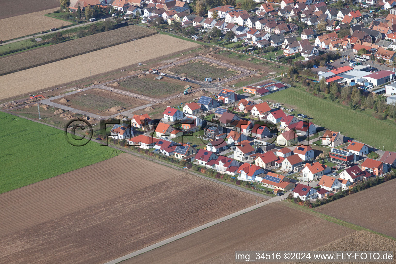 Steinweiler dans le département Rhénanie-Palatinat, Allemagne vue d'en haut