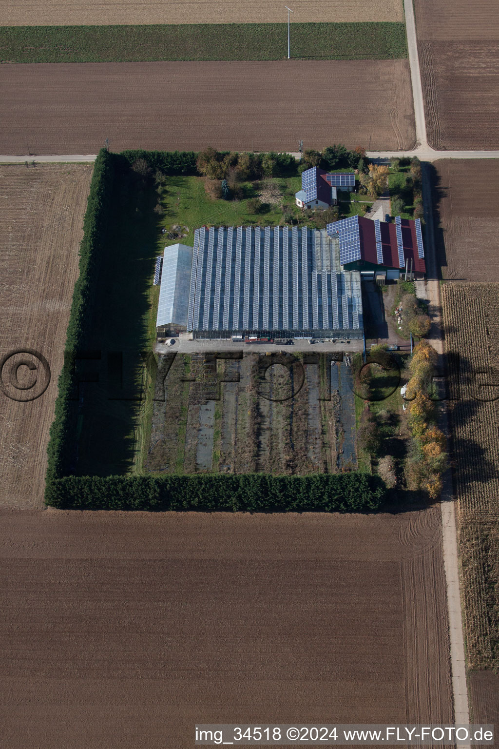 Vue aérienne de Sudètes à Steinweiler dans le département Rhénanie-Palatinat, Allemagne