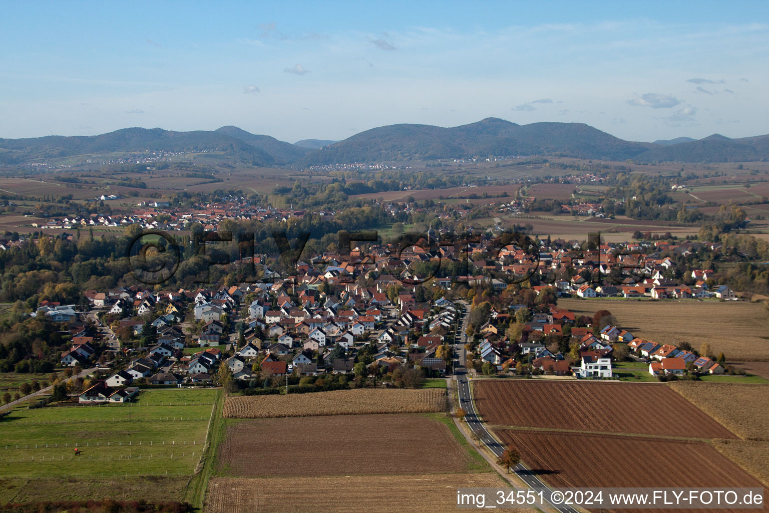 Vue d'oiseau de Quartier Billigheim in Billigheim-Ingenheim dans le département Rhénanie-Palatinat, Allemagne