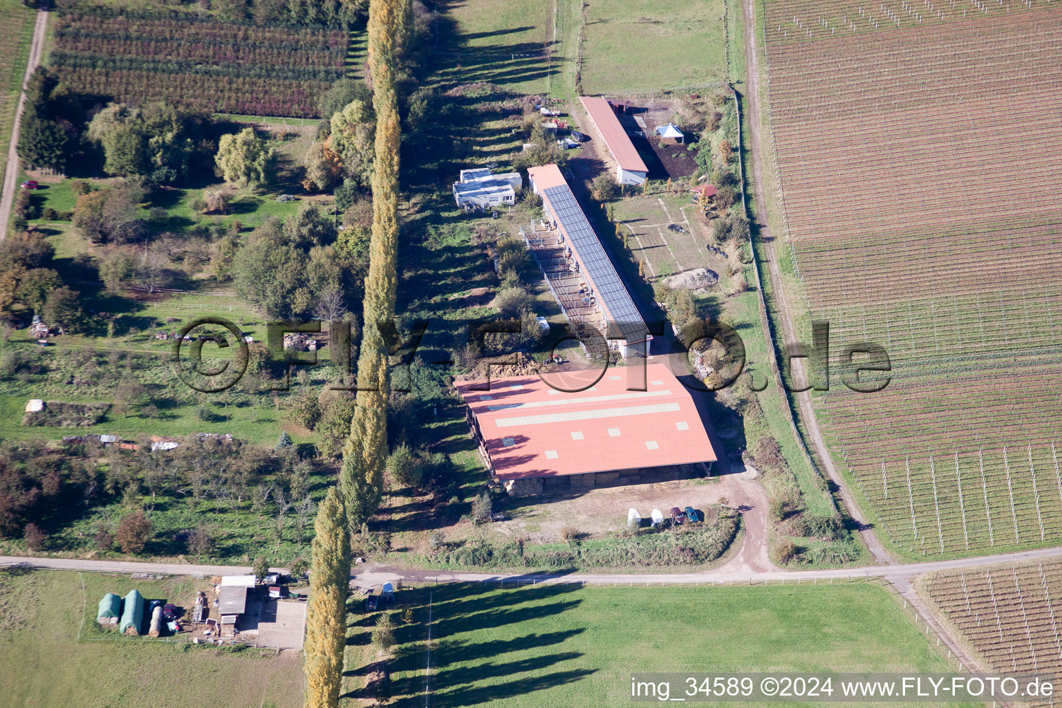 À l'Ahlmühle à Ilbesheim bei Landau in der Pfalz dans le département Rhénanie-Palatinat, Allemagne vue du ciel