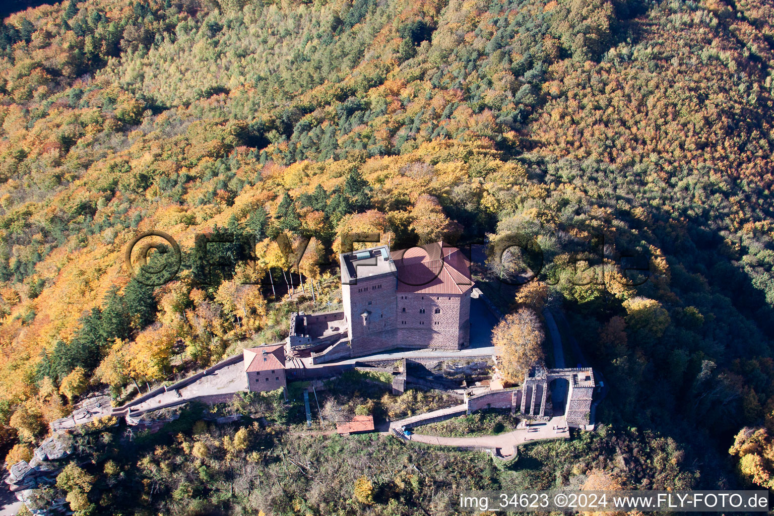 Photographie aérienne de Le complexe du château de Reichsburg Trifels entouré par la forêt à Annweiler am Trifels dans le département Rhénanie-Palatinat, Allemagne