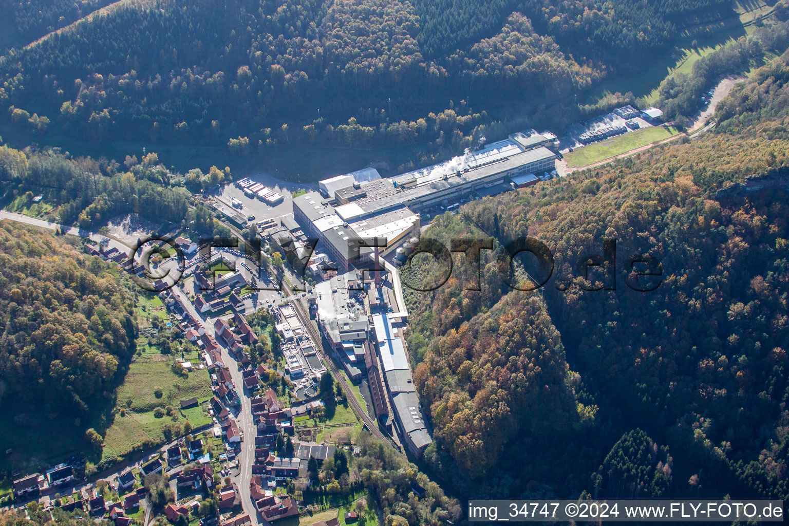 Photographie aérienne de Chripa Paletten GmbH à le quartier Sarnstall in Annweiler am Trifels dans le département Rhénanie-Palatinat, Allemagne