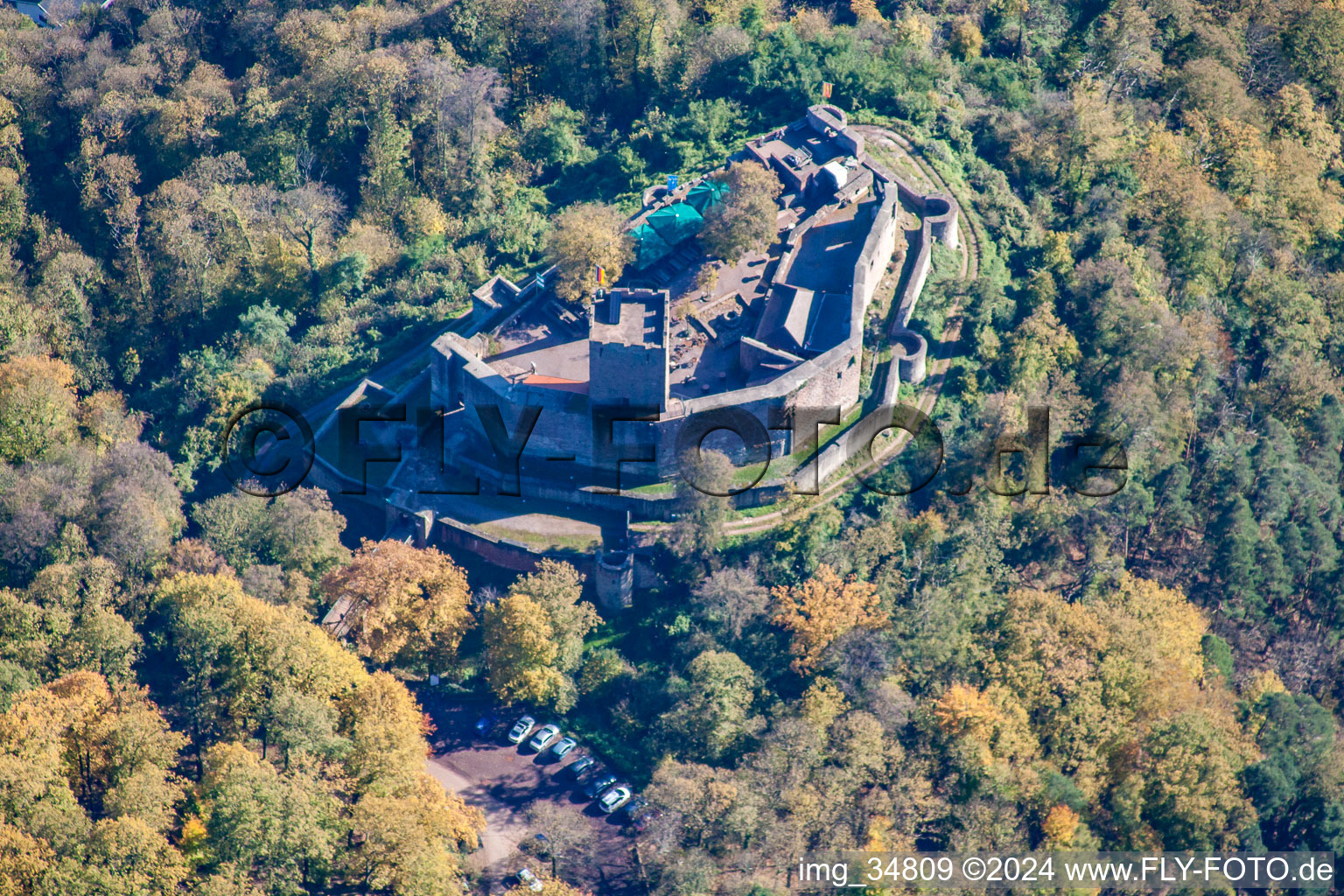 Vue aérienne de Ruines de Landeck à Klingenmünster dans le département Rhénanie-Palatinat, Allemagne