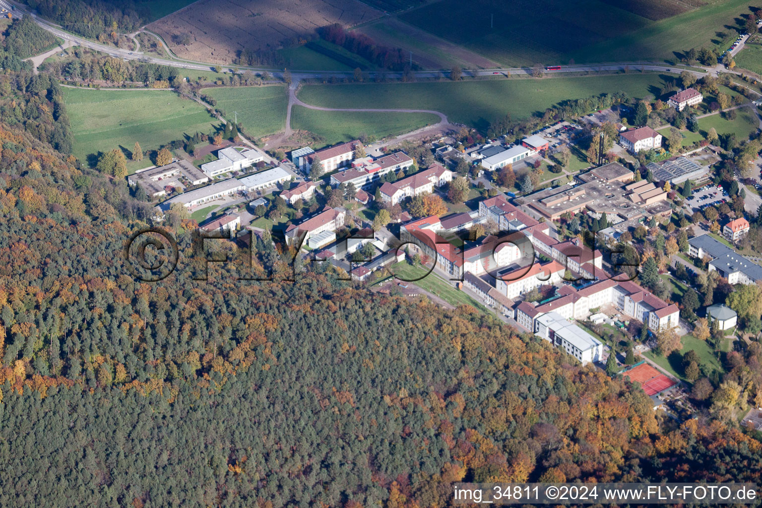 Photographie aérienne de Clinique psychiatrique d'État de Landeck à Klingenmünster dans le département Rhénanie-Palatinat, Allemagne