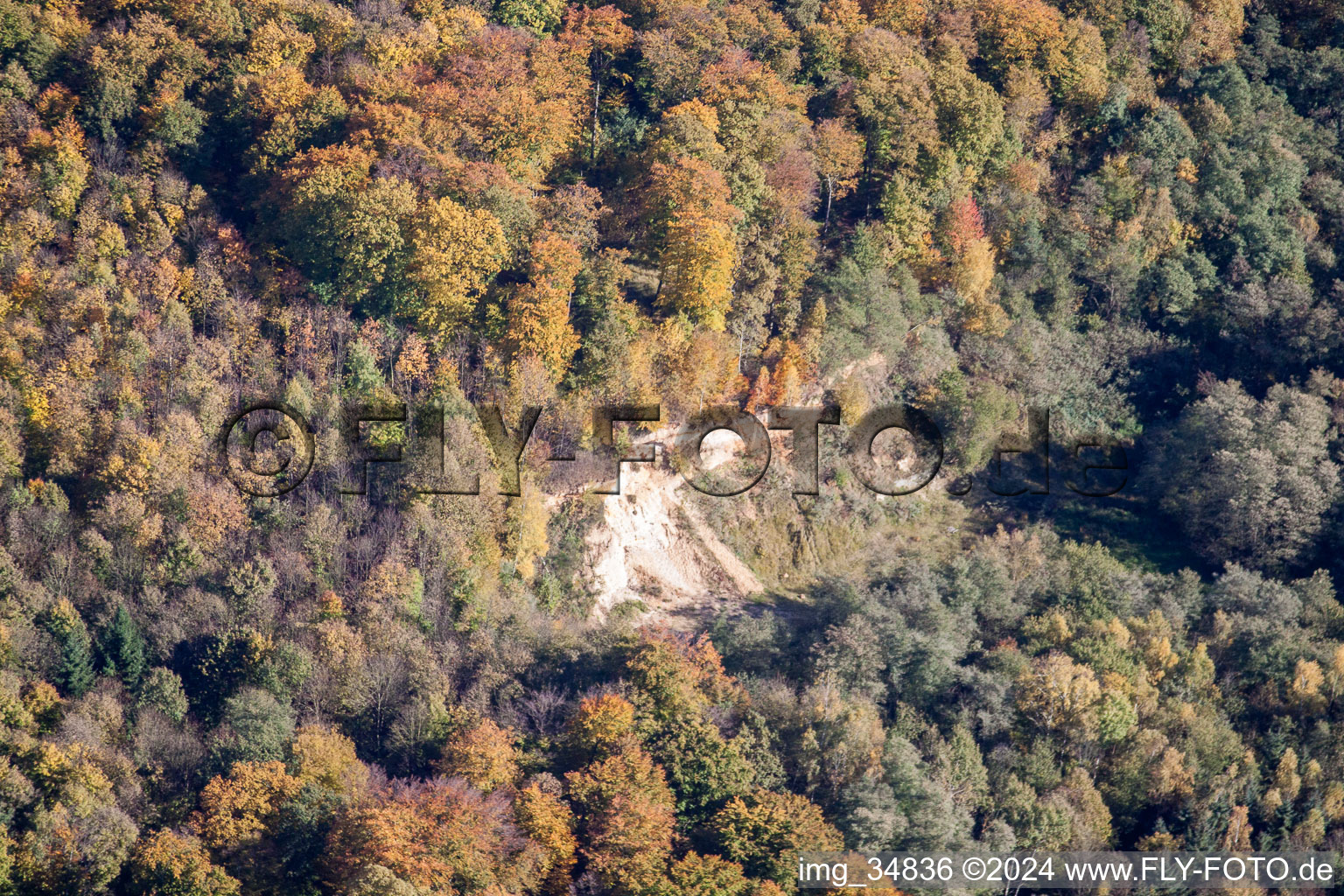 Vue aérienne de Bac à sable dans la forêt à Barbelroth dans le département Rhénanie-Palatinat, Allemagne