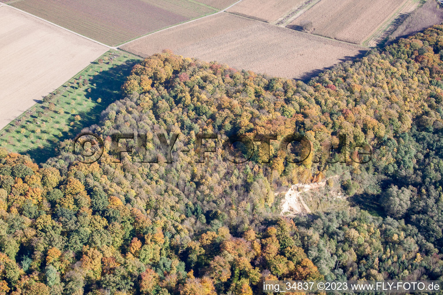 Vue aérienne de Bac à sable dans la forêt à Barbelroth dans le département Rhénanie-Palatinat, Allemagne