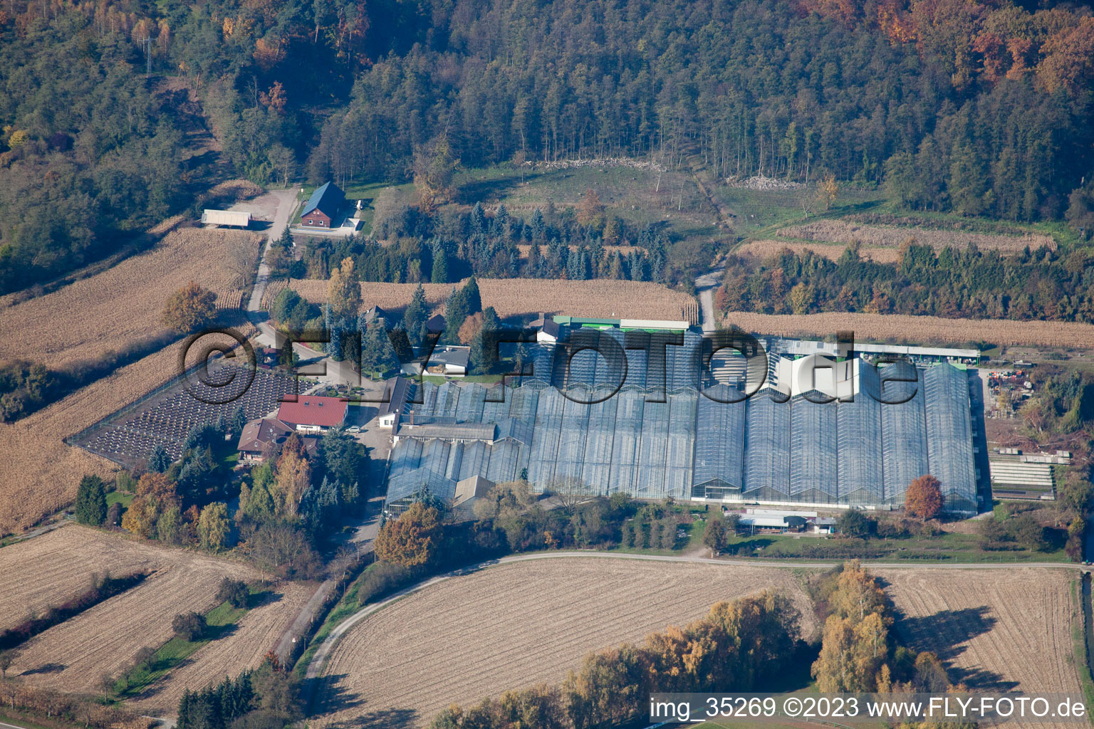 Vue aérienne de Géranium Endisch GmbH à Hagenbach dans le département Rhénanie-Palatinat, Allemagne