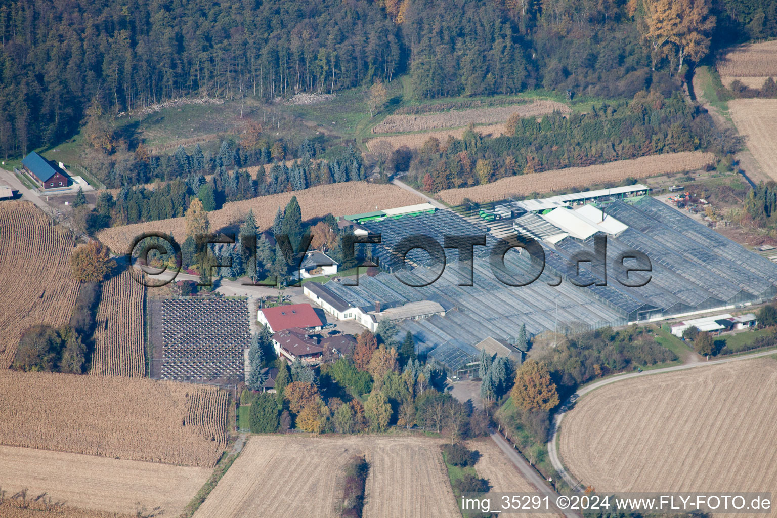 Vue aérienne de Géranium Endisch GmbH à Hagenbach dans le département Rhénanie-Palatinat, Allemagne