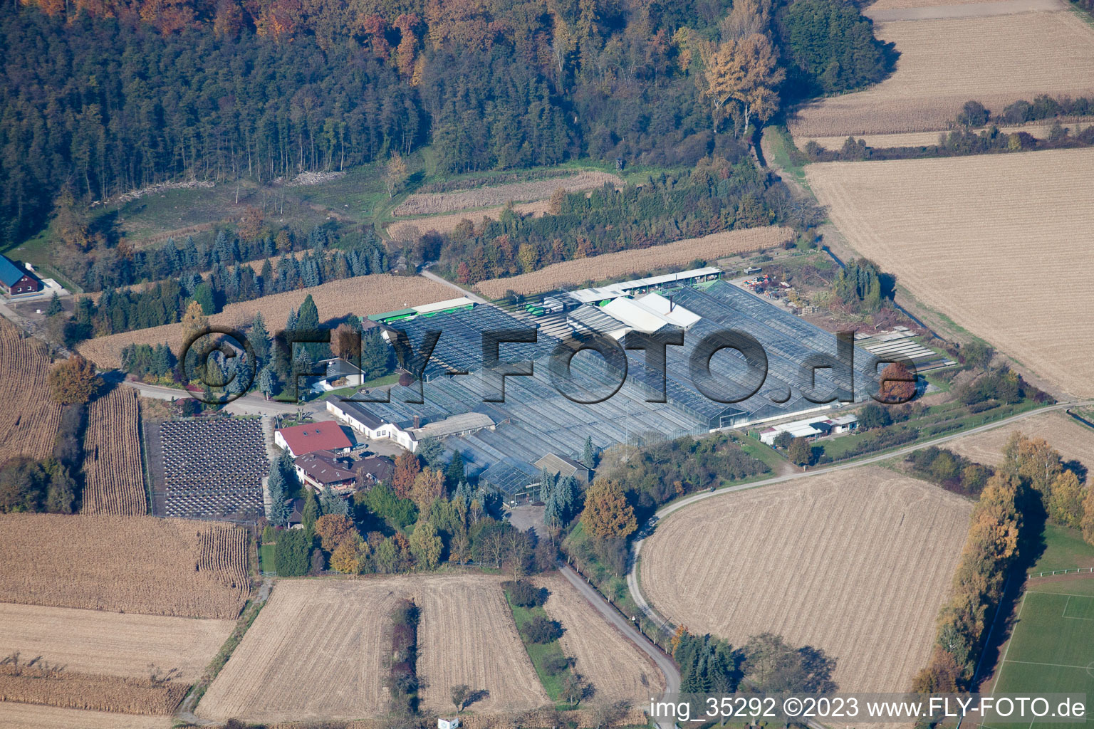 Photographie aérienne de Géranium Endisch GmbH à Hagenbach dans le département Rhénanie-Palatinat, Allemagne