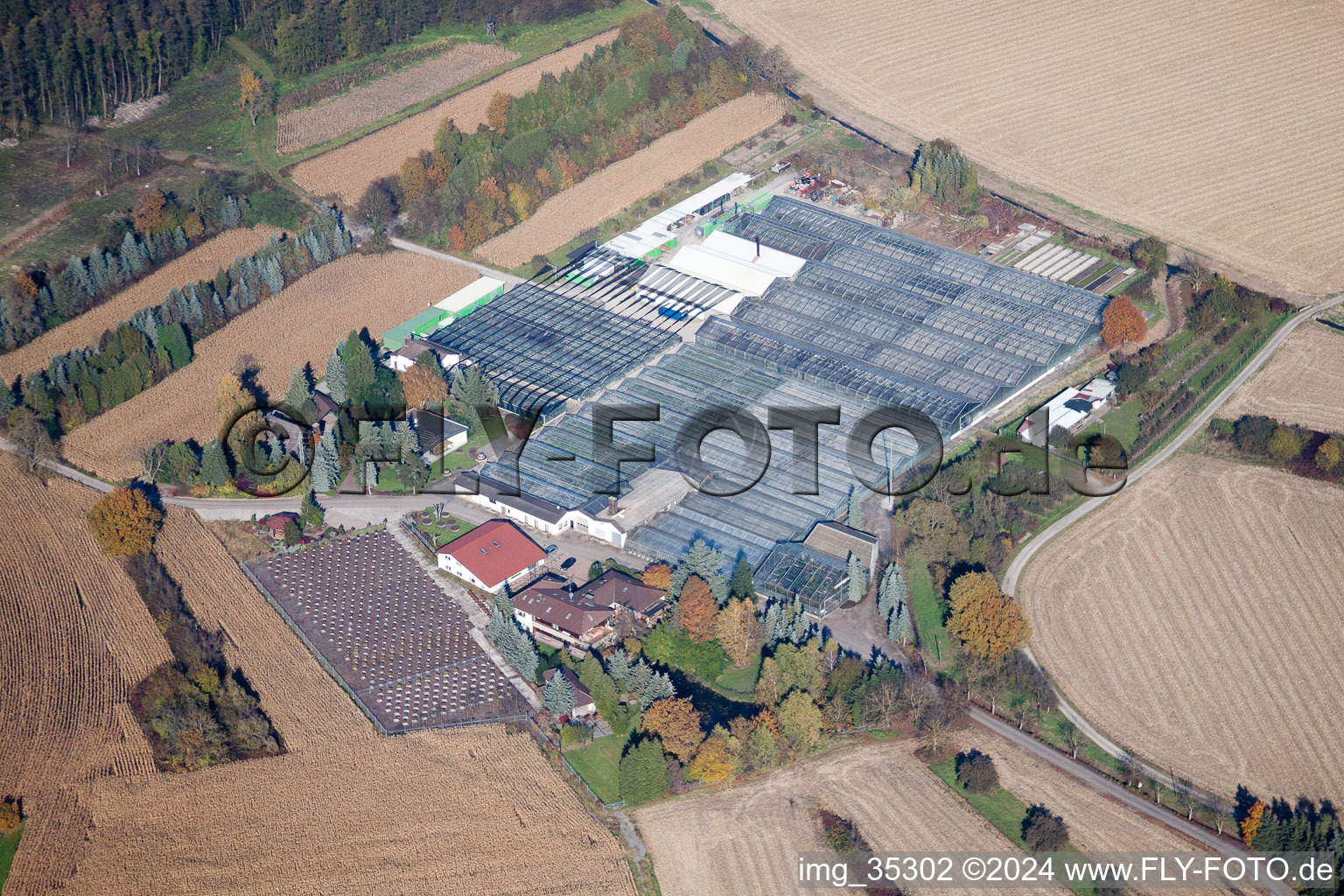 Vue oblique de Géranium Endisch GmbH à Hagenbach dans le département Rhénanie-Palatinat, Allemagne