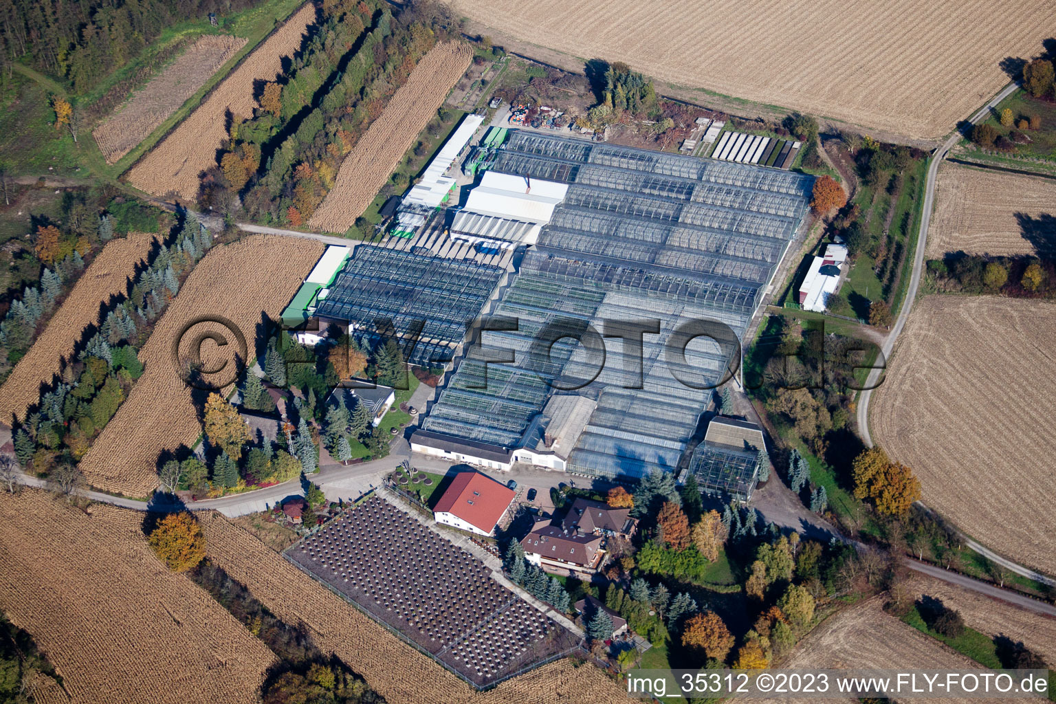 Géranium Endisch GmbH à Hagenbach dans le département Rhénanie-Palatinat, Allemagne d'en haut