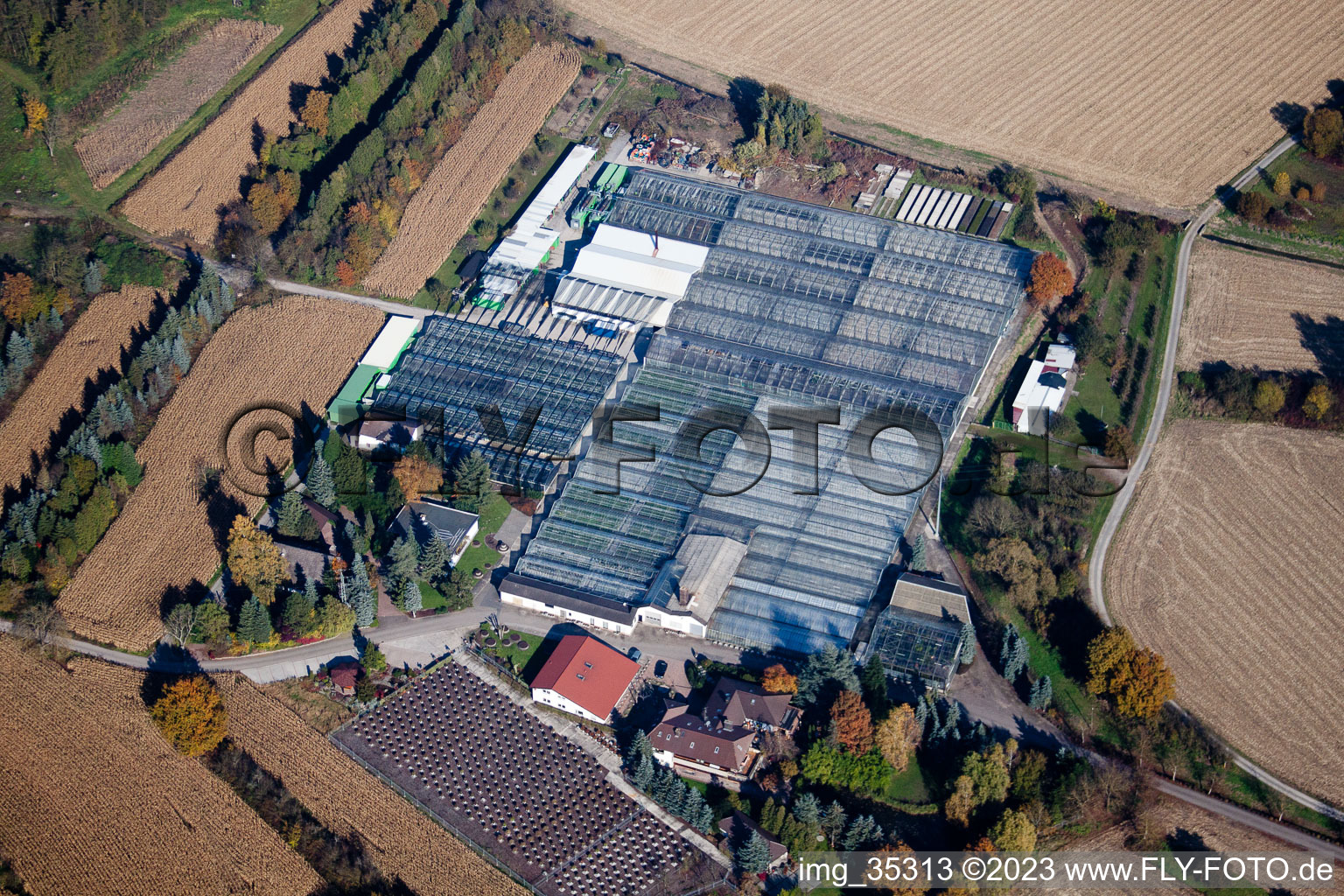 Géranium Endisch GmbH à Hagenbach dans le département Rhénanie-Palatinat, Allemagne hors des airs