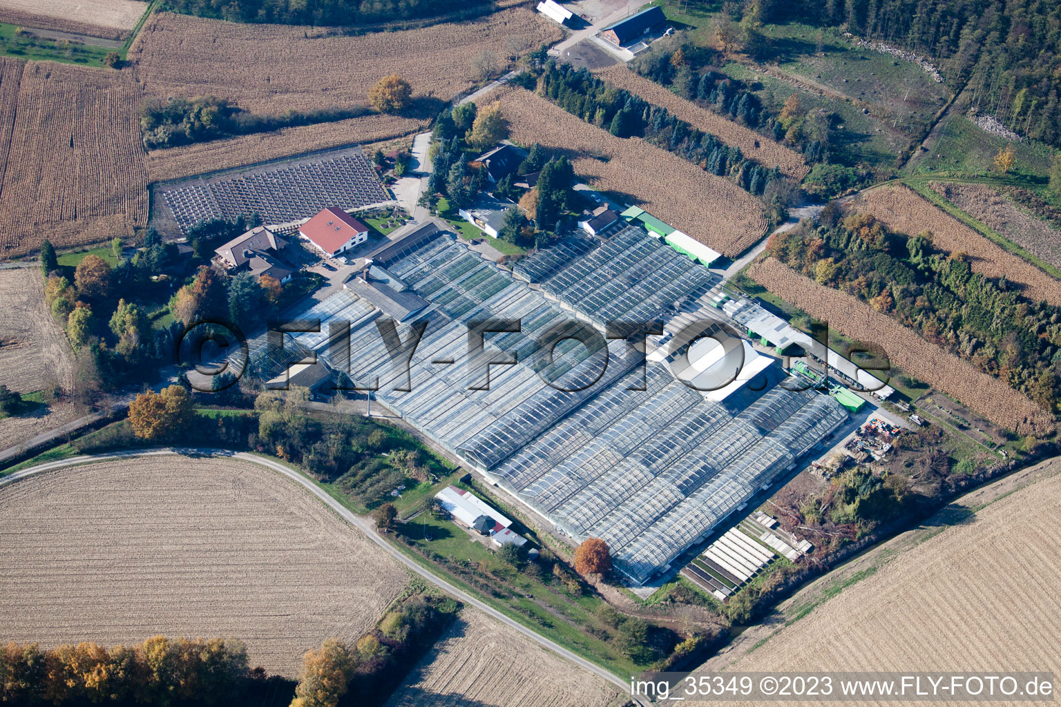 Géranium Endisch GmbH à Hagenbach dans le département Rhénanie-Palatinat, Allemagne vue d'en haut