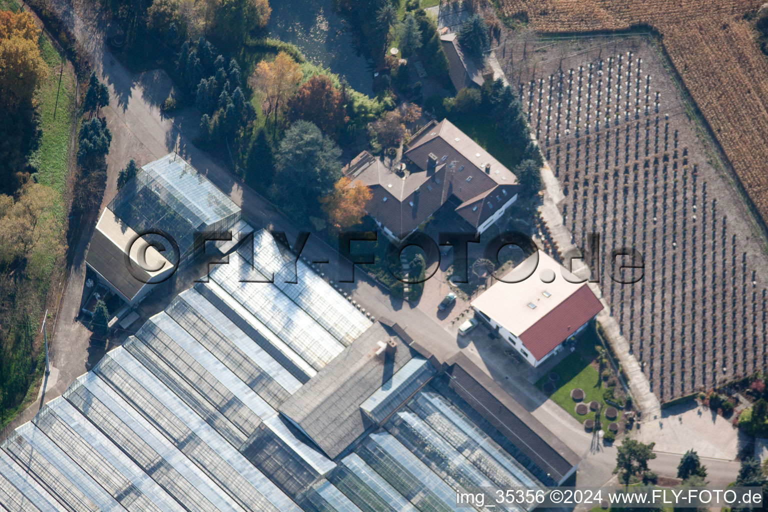 Vue d'oiseau de Géranium Endisch GmbH à Hagenbach dans le département Rhénanie-Palatinat, Allemagne