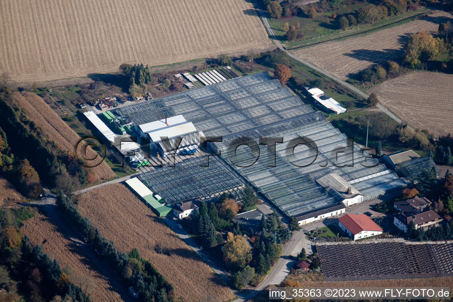 Enregistrement par drone de Géranium Endisch GmbH à Hagenbach dans le département Rhénanie-Palatinat, Allemagne