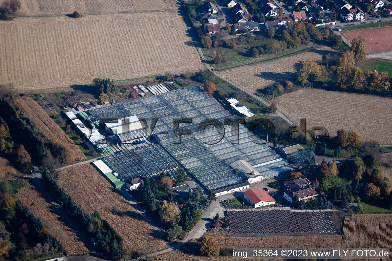 Image drone de Géranium Endisch GmbH à Hagenbach dans le département Rhénanie-Palatinat, Allemagne