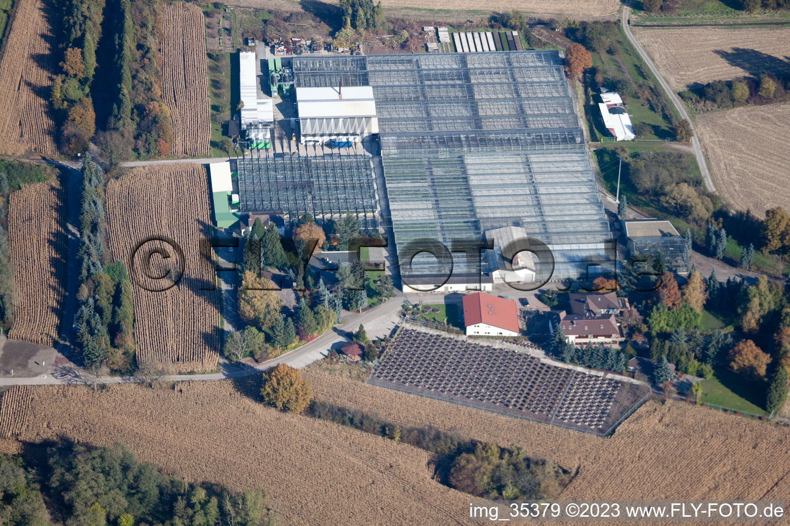 Géranium Endisch GmbH à Hagenbach dans le département Rhénanie-Palatinat, Allemagne du point de vue du drone