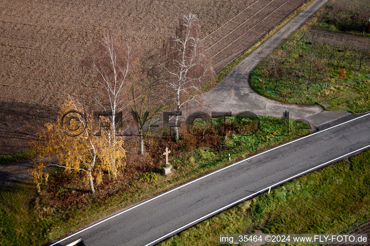 Vue aérienne de Rangée d'arbres et croix de champ sur une route de campagne au bord d'un champ à Hatzenbühl dans le département Rhénanie-Palatinat, Allemagne