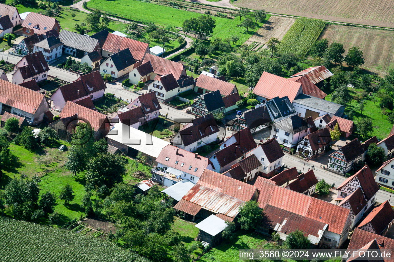 Photographie aérienne de Schleithal dans le département Bas Rhin, France