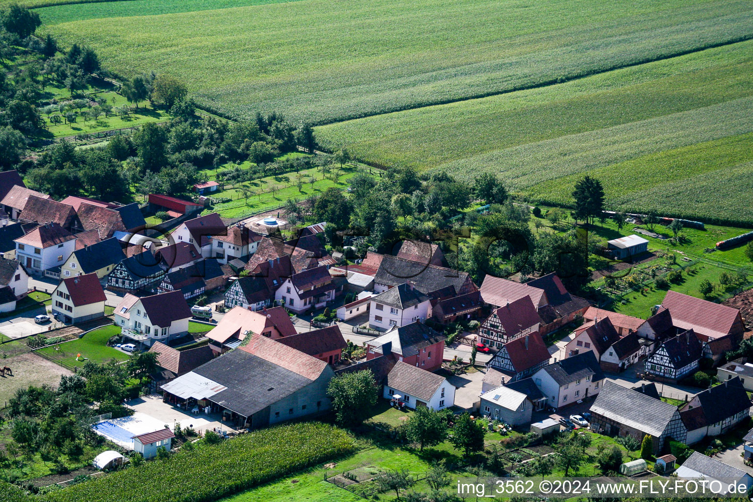 Schleithal dans le département Bas Rhin, France d'en haut