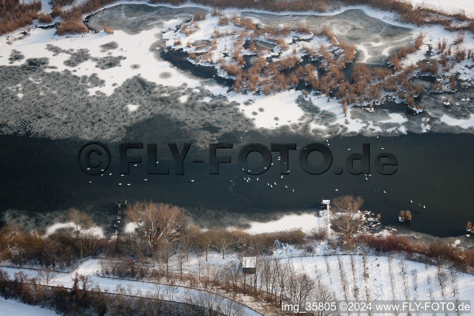 Zone industrielle d'Oberwald à Wörth am Rhein dans le département Rhénanie-Palatinat, Allemagne d'un drone