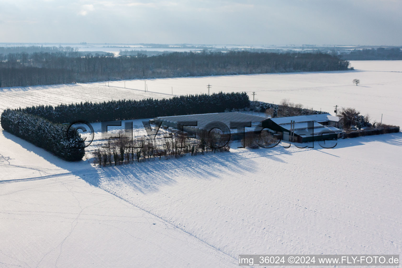 Vue aérienne de Sudètes à Steinweiler dans le département Rhénanie-Palatinat, Allemagne