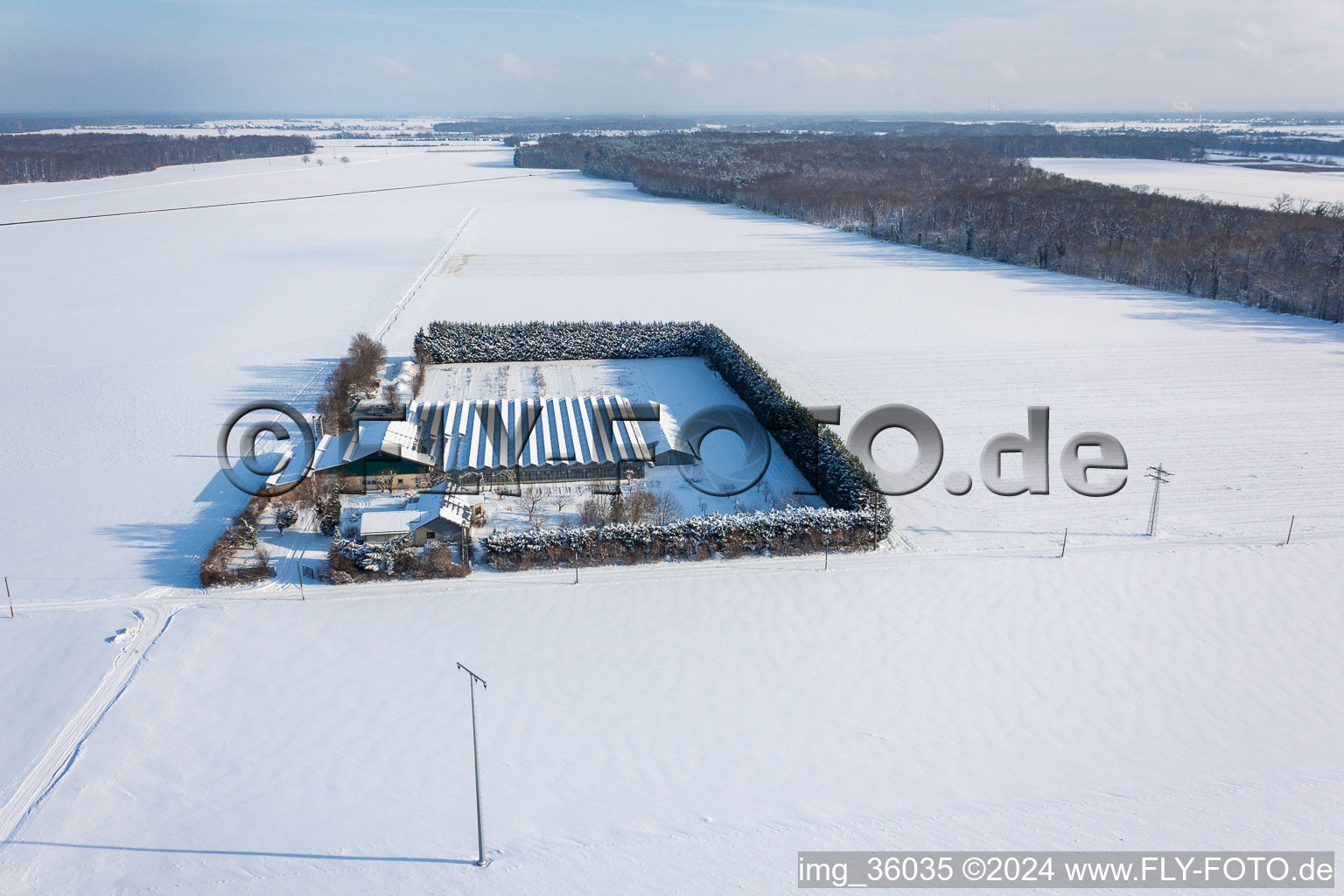 Vue oblique de Sudètes à Steinweiler dans le département Rhénanie-Palatinat, Allemagne