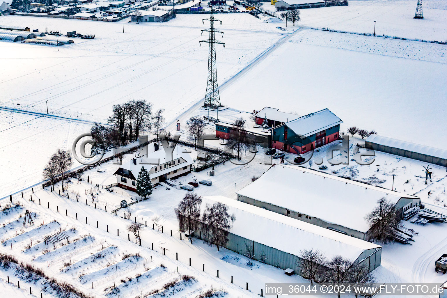 Vue aérienne de Schosberghof en hiver avec de la neige à Minfeld dans le département Rhénanie-Palatinat, Allemagne