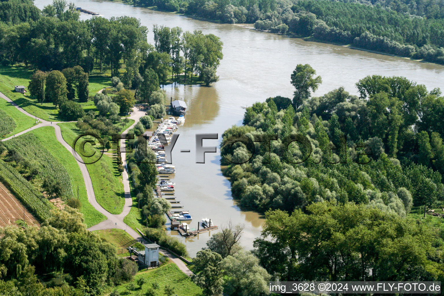 Vue d'oiseau de Lautermouth à le quartier Neuburg in Neuburg am Rhein dans le département Rhénanie-Palatinat, Allemagne