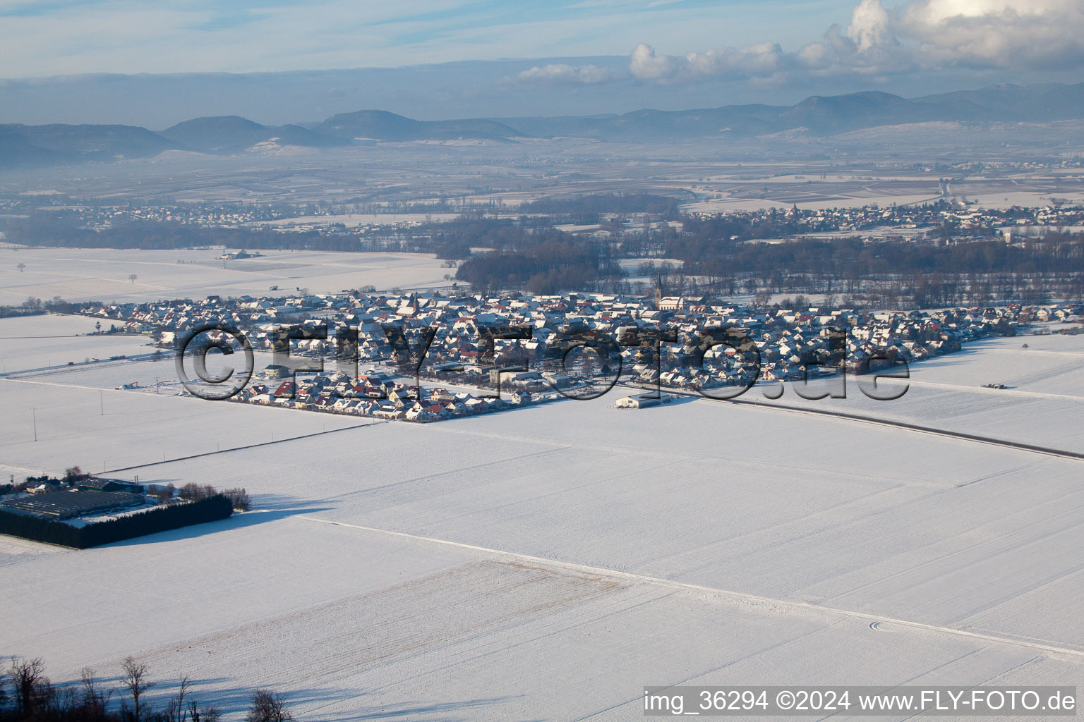 Steinweiler dans le département Rhénanie-Palatinat, Allemagne depuis l'avion