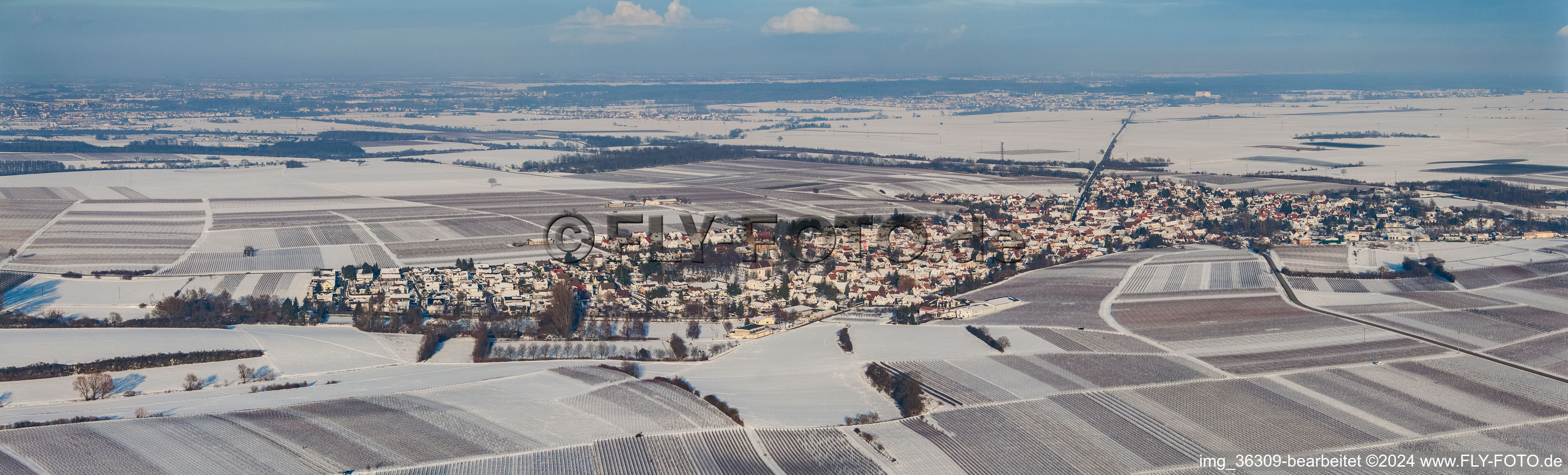 Vue aérienne de Perspective panoramique hivernale et enneigée des champs et devant le Haardtrand de la forêt du Palatinat à Impflingen dans le département Rhénanie-Palatinat, Allemagne