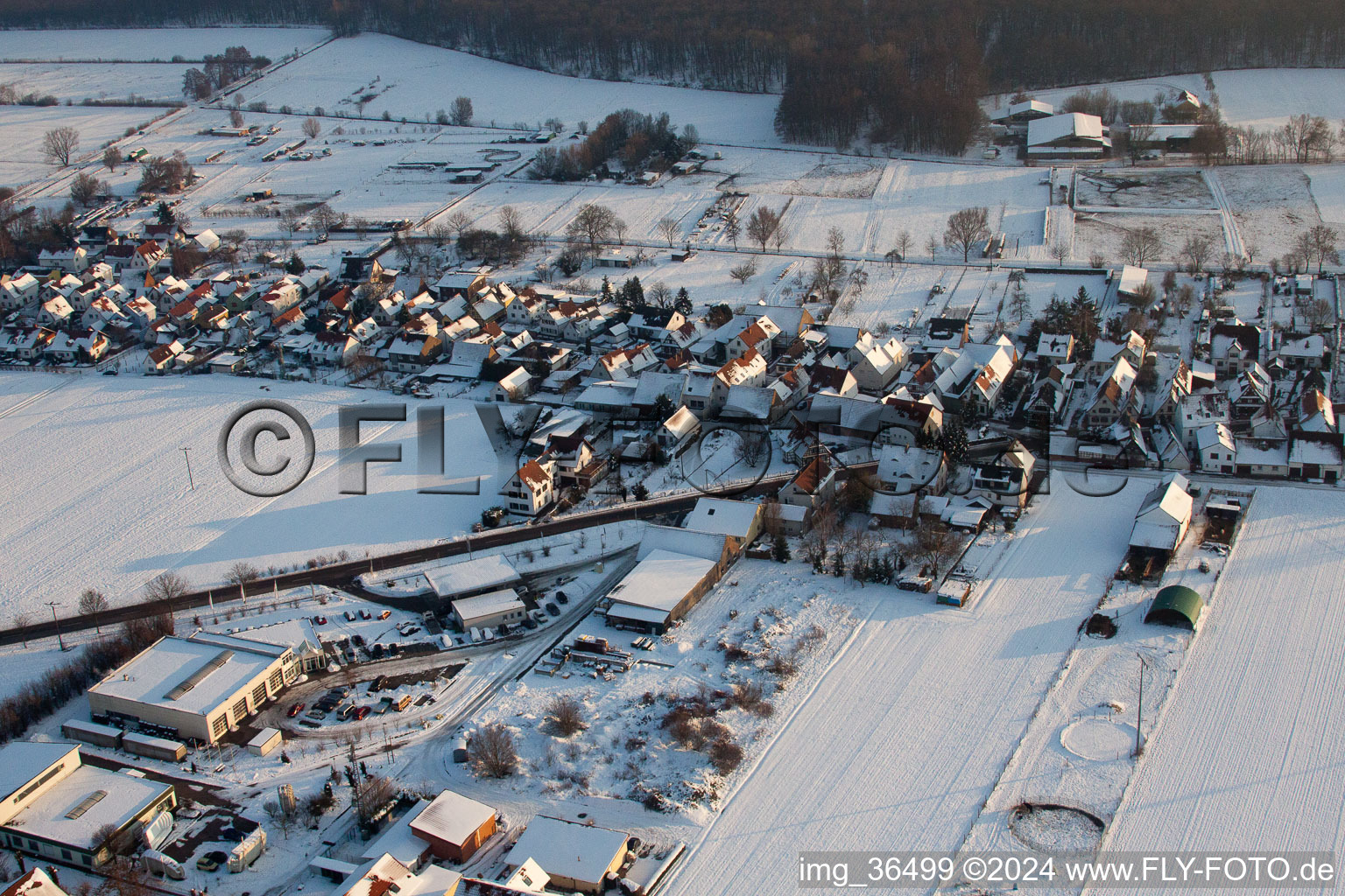 Vue d'oiseau de Freckenfeld dans le département Rhénanie-Palatinat, Allemagne