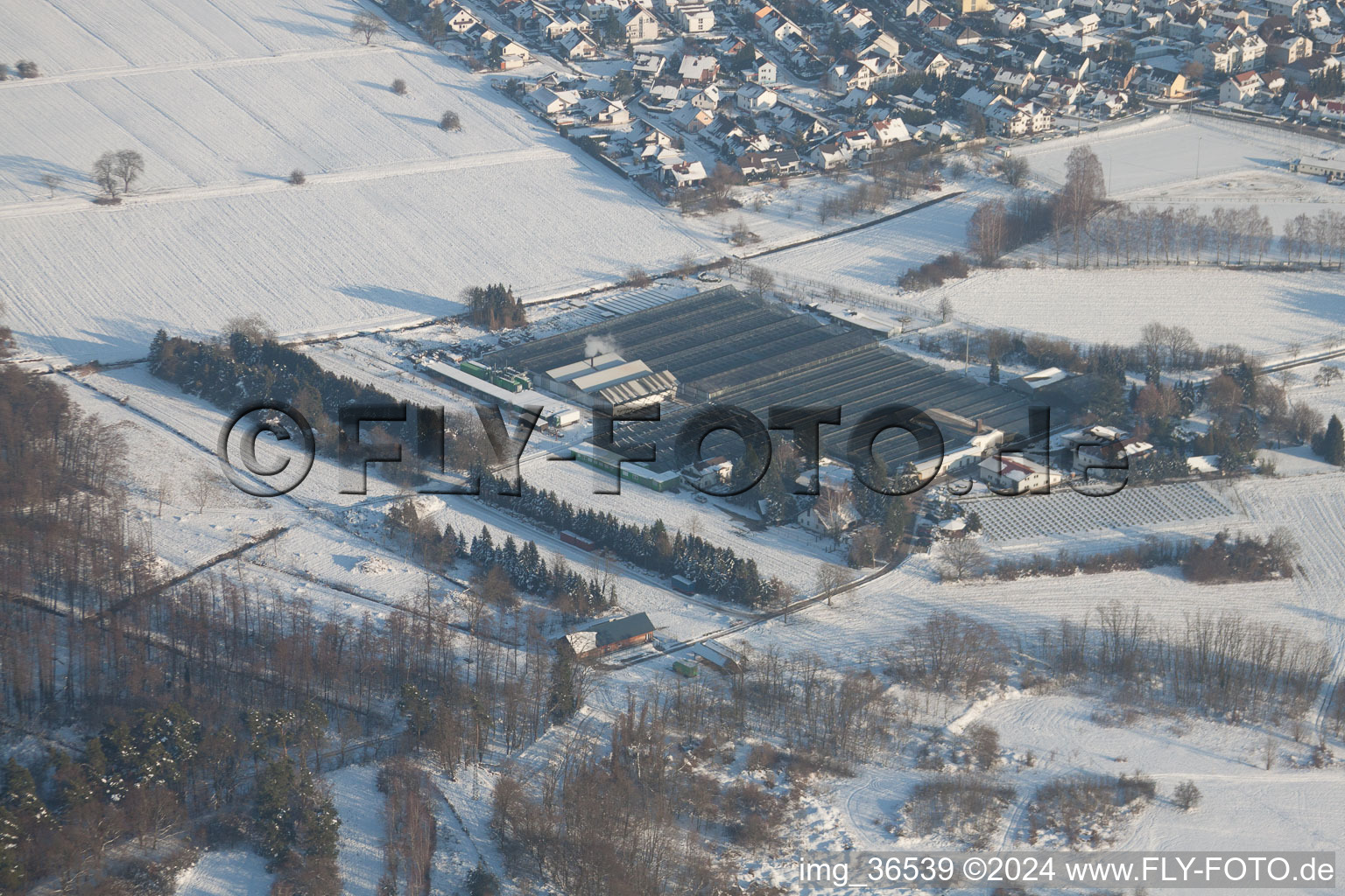 Vue aérienne de Géranium Endisch à Hagenbach dans le département Rhénanie-Palatinat, Allemagne