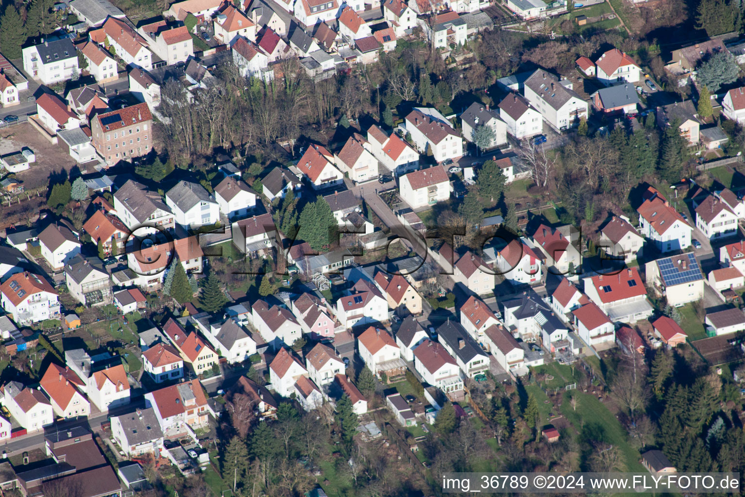 Lingenfeld dans le département Rhénanie-Palatinat, Allemagne vue du ciel